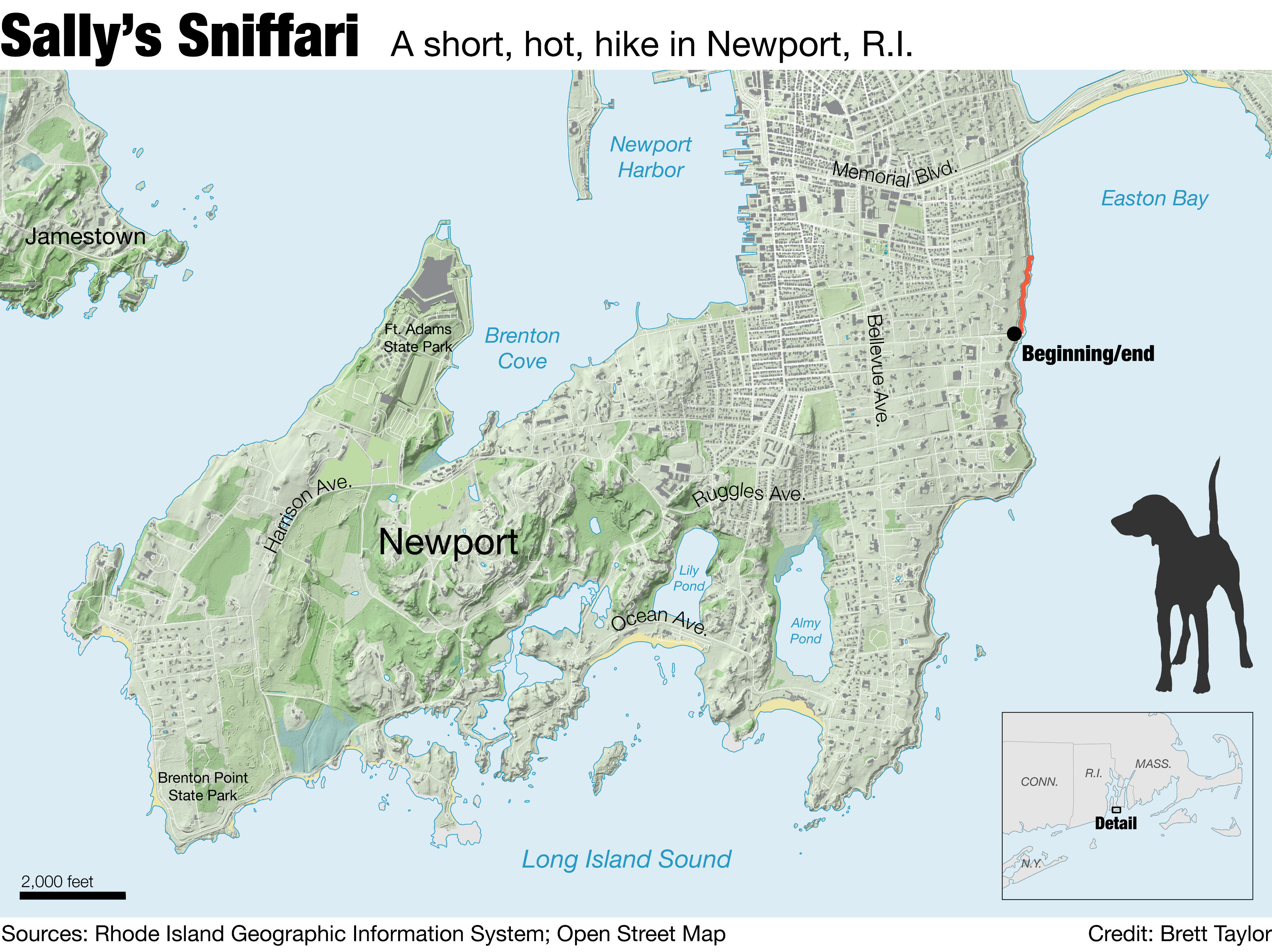 County-level choropleth with population-density overlay to emphasize inhabited areas and spatial voting patterns.